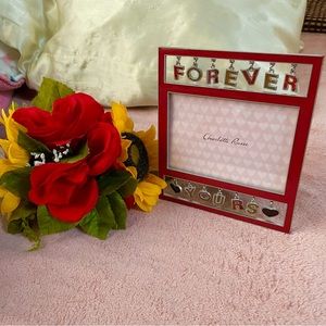 CHARLOTTE RUSSE Picture frame